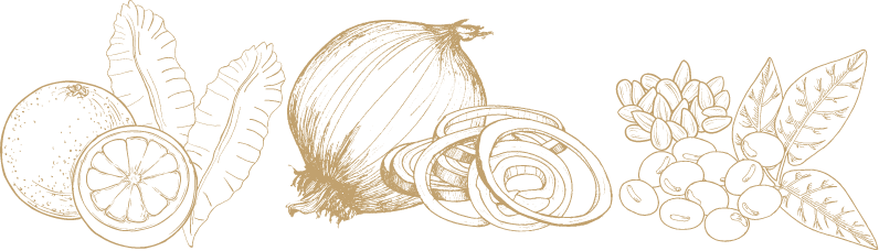 自然野菜のイラスト