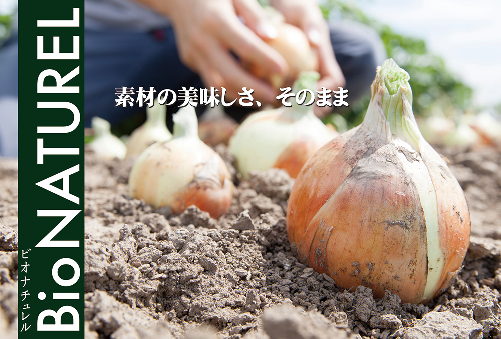 素材の美味しさ、そのまま