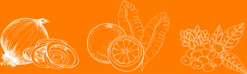 野菜のイラスト